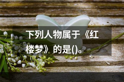 下列人物属于《红楼梦》的是()。