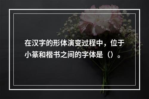 在汉字的形体演变过程中，位于小篆和楷书之间的字体是（）。