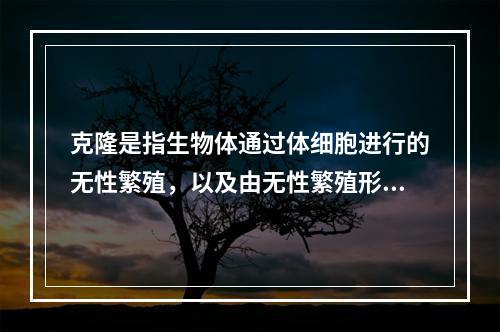 克隆是指生物体通过体细胞进行的无性繁殖，以及由无性繁殖形成的