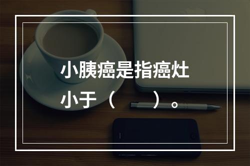 小胰癌是指癌灶小于（　　）。