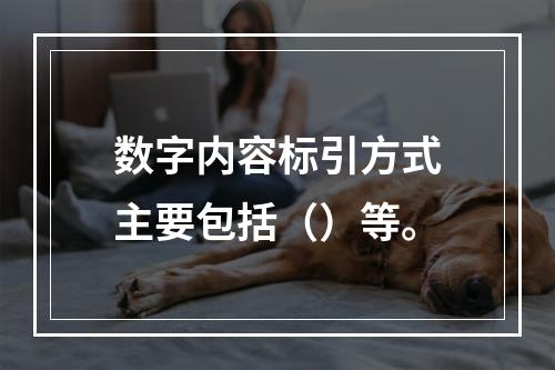 数字内容标引方式主要包括（）等。