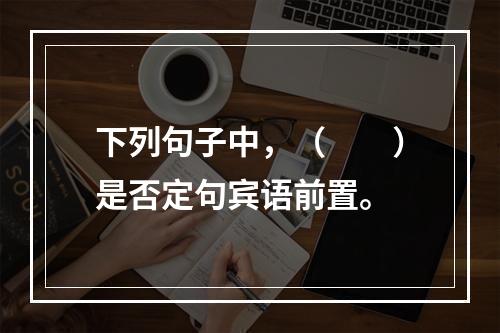 下列句子中，（　　）是否定句宾语前置。