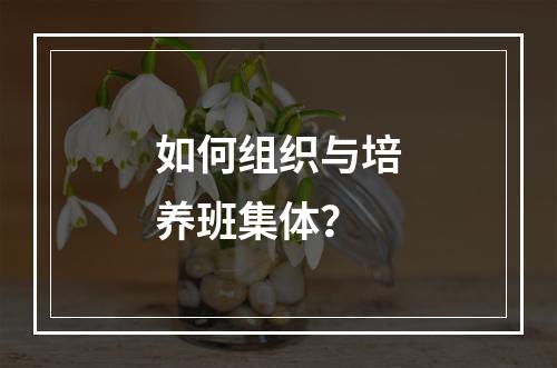 如何组织与培养班集体？