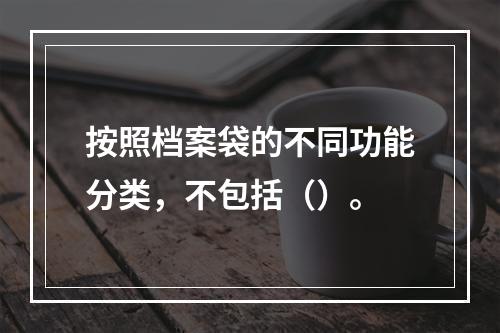 按照档案袋的不同功能分类，不包括（）。