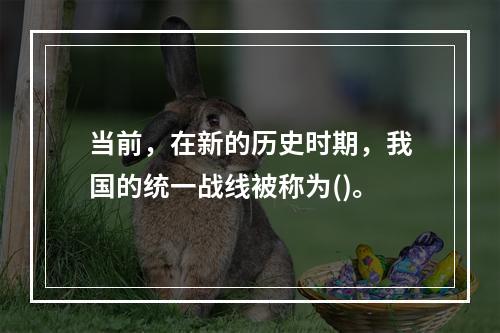 当前，在新的历史时期，我国的统一战线被称为()。