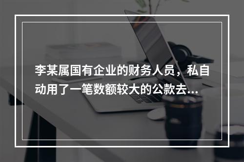 李某属国有企业的财务人员，私自动用了一笔数额较大的公款去炒股