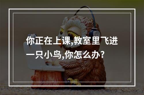 你正在上课,教室里飞进一只小鸟,你怎么办?