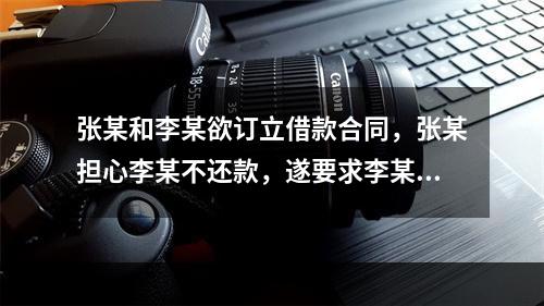 张某和李某欲订立借款合同，张某担心李某不还款，遂要求李某用自