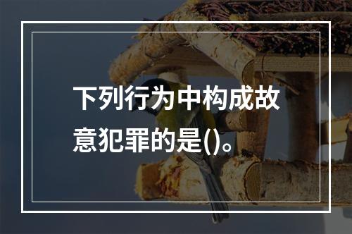 下列行为中构成故意犯罪的是()。