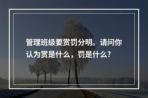 管理班级要赏罚分明。请问你认为赏是什么，罚是什么?