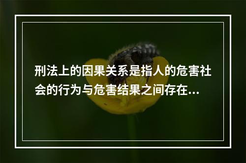 刑法上的因果关系是指人的危害社会的行为与危害结果之间存在的(