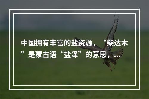 中国拥有丰富的盐资源，“柴达木”是蒙古语“盐泽”的意思，柴达