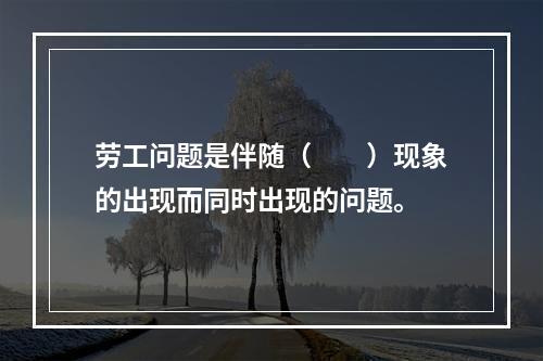 劳工问题是伴随（　　）现象的出现而同时出现的问题。