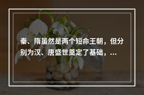 秦、隋虽然是两个短命王朝，但分别为汉、唐盛世奠定了基础，它们