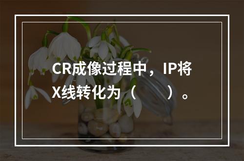 CR成像过程中，IP将X线转化为（　　）。