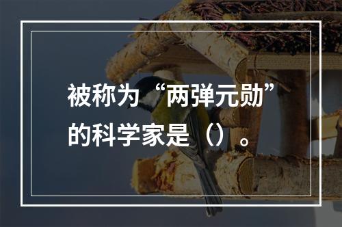 被称为“两弹元勋”的科学家是（）。