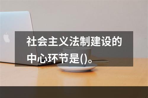 社会主义法制建设的中心环节是()。