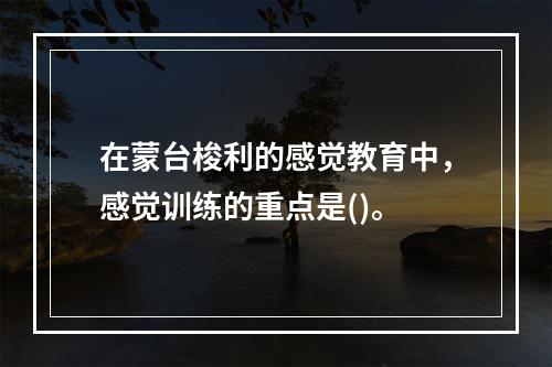 在蒙台梭利的感觉教育中，感觉训练的重点是()。