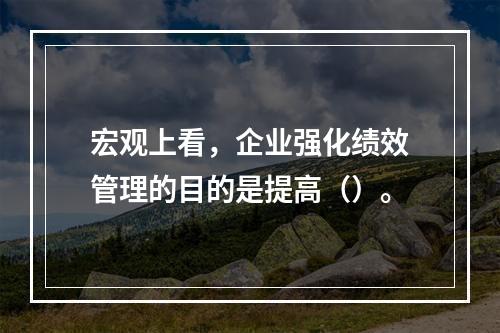 宏观上看，企业强化绩效管理的目的是提高（）。