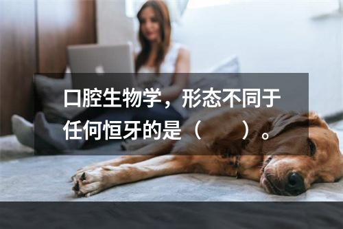 口腔生物学，形态不同于任何恒牙的是（　　）。