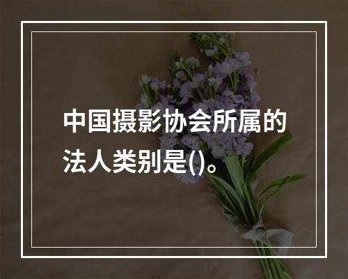 中国摄影协会所属的法人类别是()。