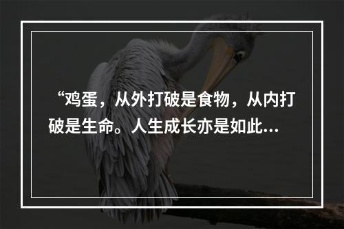 “鸡蛋，从外打破是食物，从内打破是生命。人生成长亦是如此，既