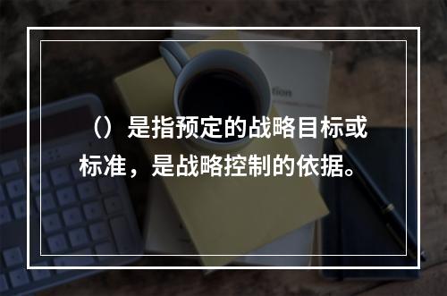 （）是指预定的战略目标或标准，是战略控制的依据。