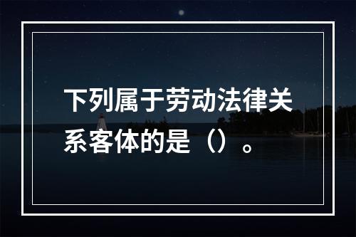 下列属于劳动法律关系客体的是（）。