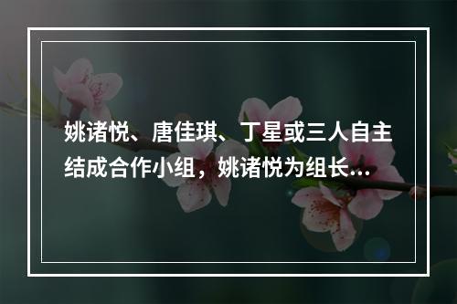 姚诸悦、唐佳琪、丁星或三人自主结成合作小组，姚诸悦为组长。通