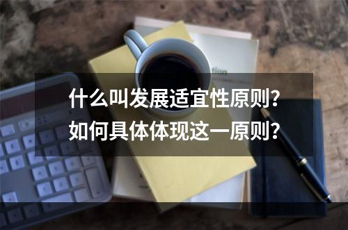 什么叫发展适宜性原则？如何具体体现这一原则？