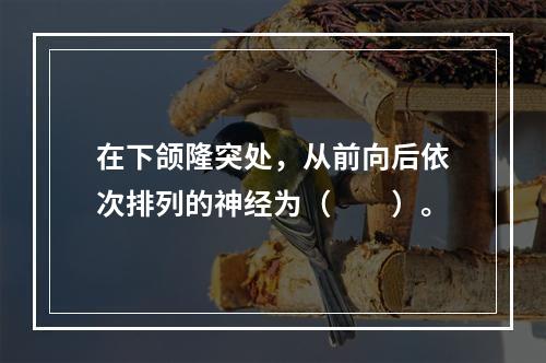 在下颌隆突处，从前向后依次排列的神经为（　　）。