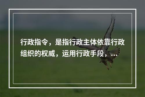 行政指令，是指行政主体依靠行政组织的权威，运用行政手段，包括