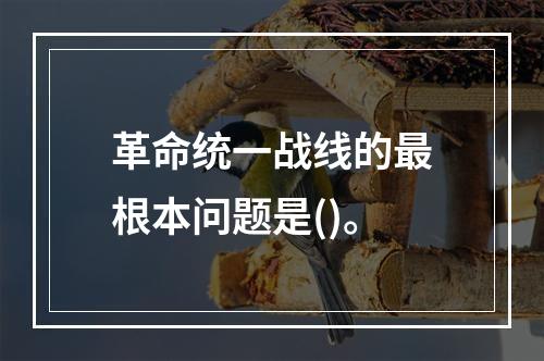 革命统一战线的最根本问题是()。