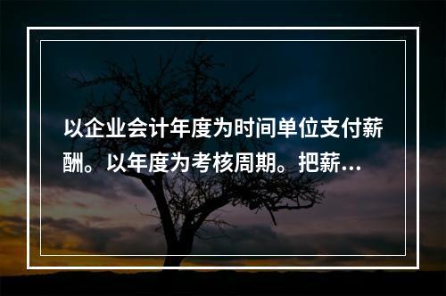 以企业会计年度为时间单位支付薪酬。以年度为考核周期。把薪酬与