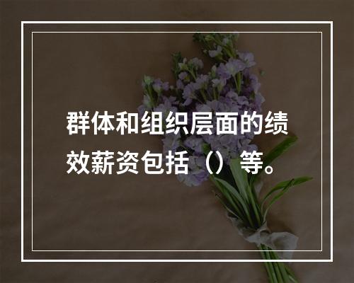 群体和组织层面的绩效薪资包括（）等。