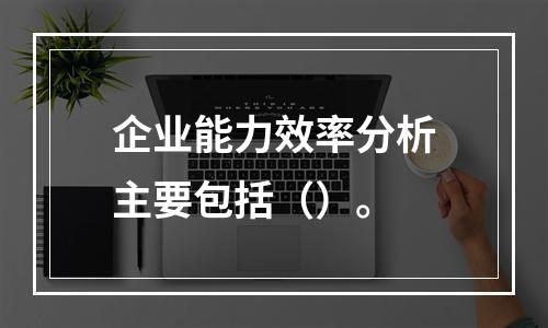 企业能力效率分析主要包括（）。