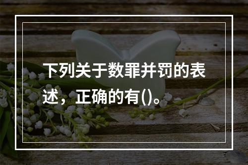 下列关于数罪并罚的表述，正确的有()。