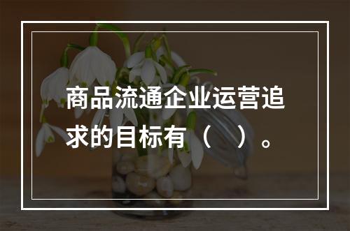 商品流通企业运营追求的目标有（　）。