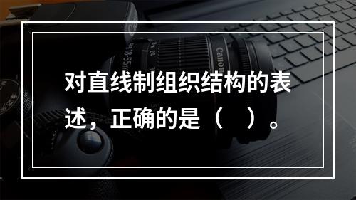 对直线制组织结构的表述，正确的是（　）。