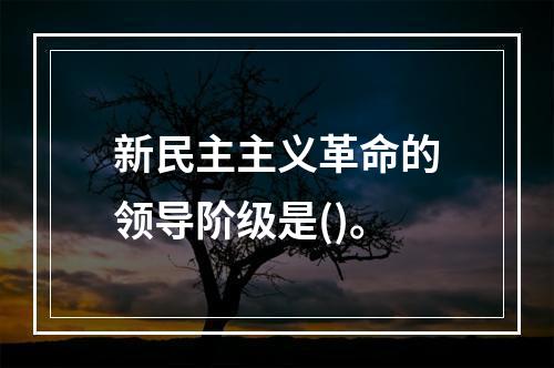 新民主主义革命的领导阶级是()。