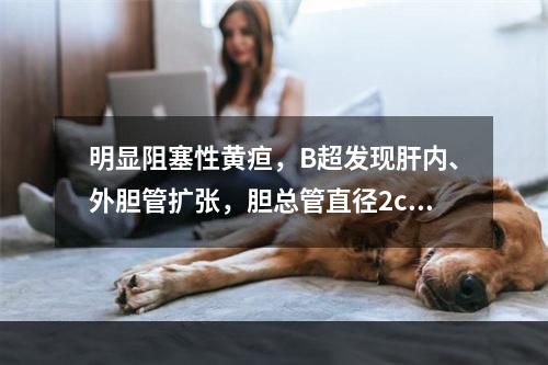 明显阻塞性黄疸，B超发现肝内、外胆管扩张，胆总管直径2cm，