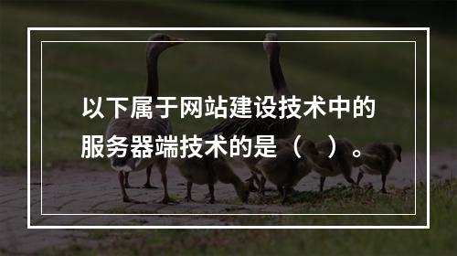 以下属于网站建设技术中的服务器端技术的是（　）。