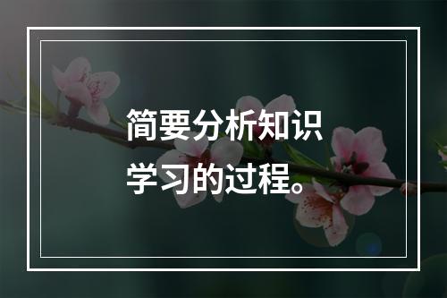 简要分析知识学习的过程。