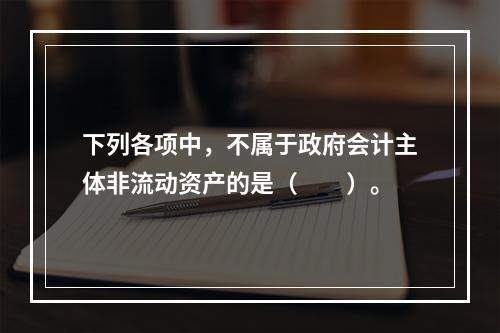 下列各项中，不属于政府会计主体非流动资产的是（　　）。