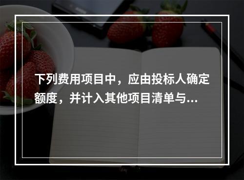 下列费用项目中，应由投标人确定额度，并计入其他项目清单与计价