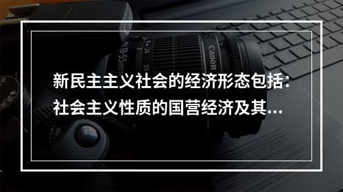 新民主主义社会的经济形态包括：社会主义性质的国营经济及其()