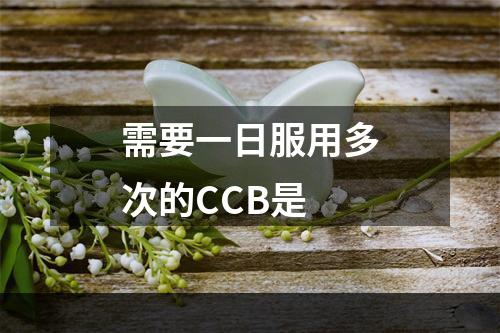 需要一日服用多次的CCB是