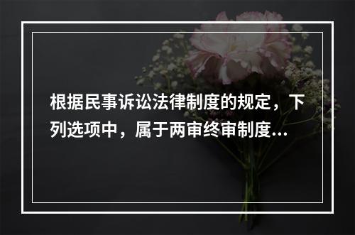 根据民事诉讼法律制度的规定，下列选项中，属于两审终审制度例外