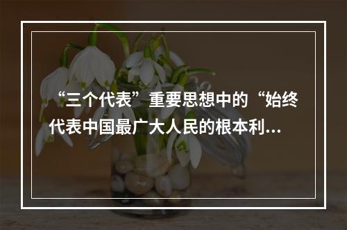 “三个代表”重要思想中的“始终代表中国最广大人民的根本利益”