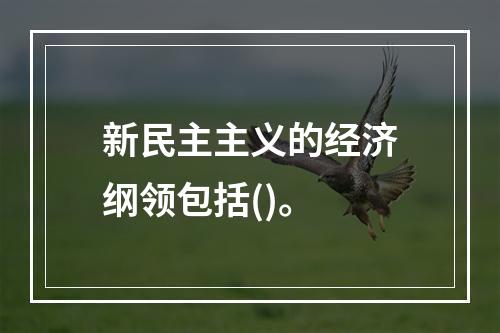 新民主主义的经济纲领包括()。